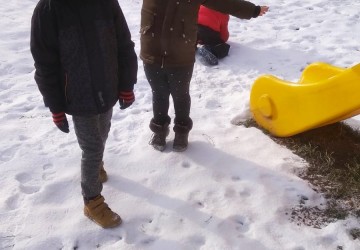 Powiększ obraz: Biedronki lubią zabawy na śniegu!